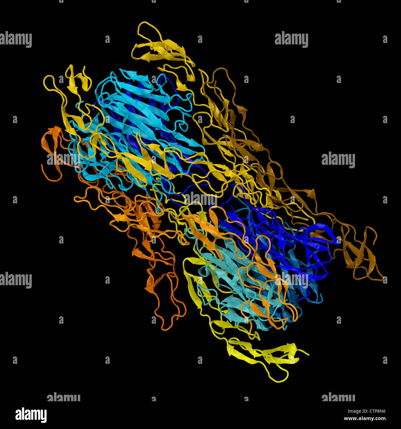 3D-Modell von Tumor Nekrose Faktor (TNF) komplexiert mit Tumor-Nekrose-Faktor-Rezeptor 2 (TNFR-2) Stockfoto