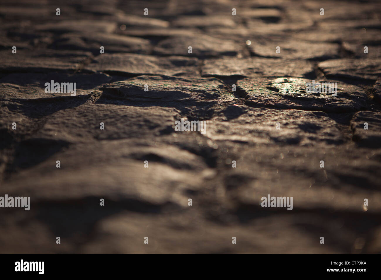 Die gepflasterten Gehweg durch den Fluss Seine, im Staub in Paris, Frankreich Stockfoto