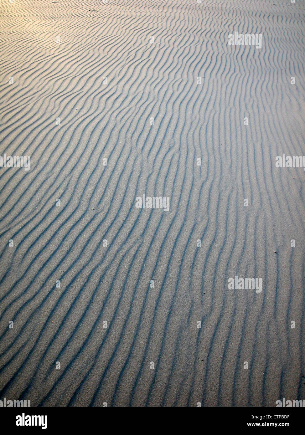 Sanddüne Wellen am Strand Stockfoto