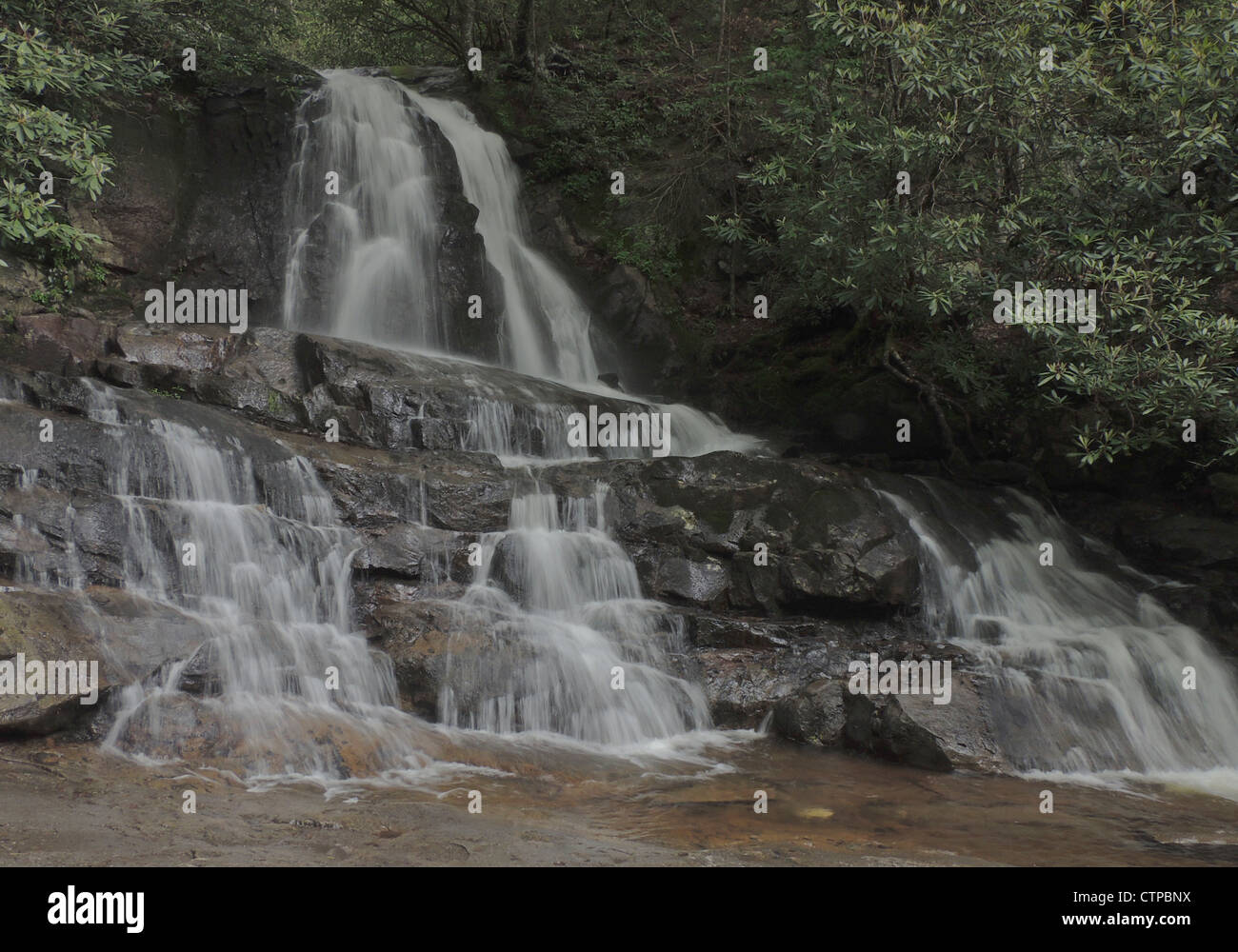 Laurel fällt, fällt eines der vielen, die Schönheit, die Smoky Mountain National Park in Tennessee hinzufügen. Stockfoto