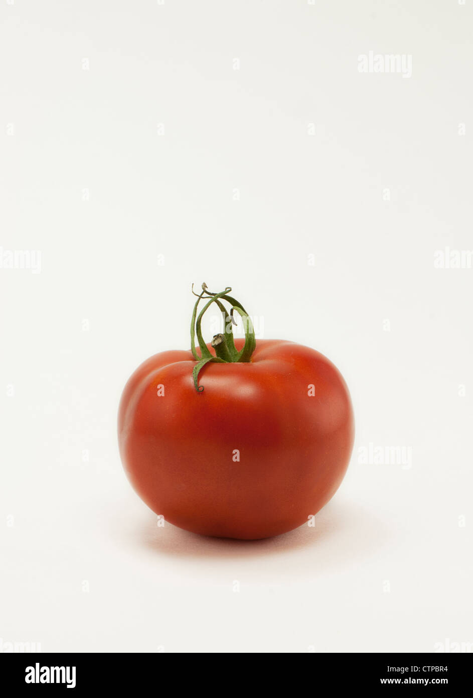 Stillleben mit einer Tomate auf weißem Hintergrund Stockfoto