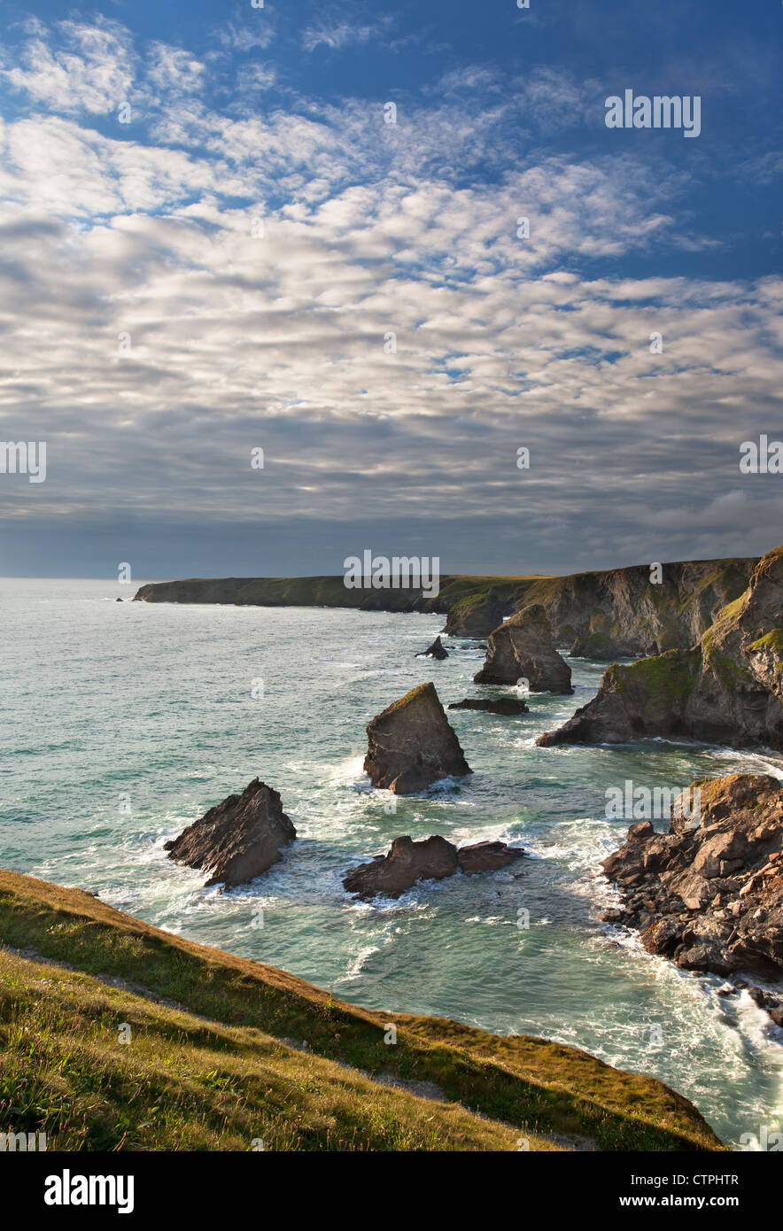 Norden Cornish Küste bei Bedruthan Steps in der Nähe von Newquay Stockfoto
