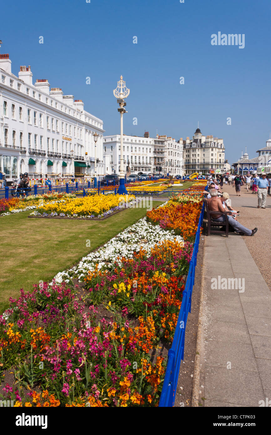 Blütenpracht auf der Promenade in Eastbourne, Sussex, ein Urlaubsziel der englischen Küste. England, GB, UK. Stockfoto