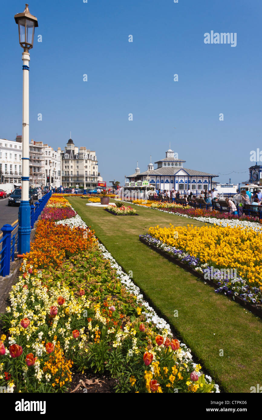 Blütenpracht auf der Promenade in Eastbourne, ein Urlaubsziel der englischen Küste. England, GB, UK. Stockfoto