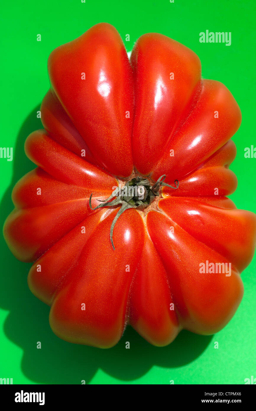 Riesige rosa Rindfleisch Tomaten (Zapoteken Plissee) auf grünem Hintergrund Stockfoto