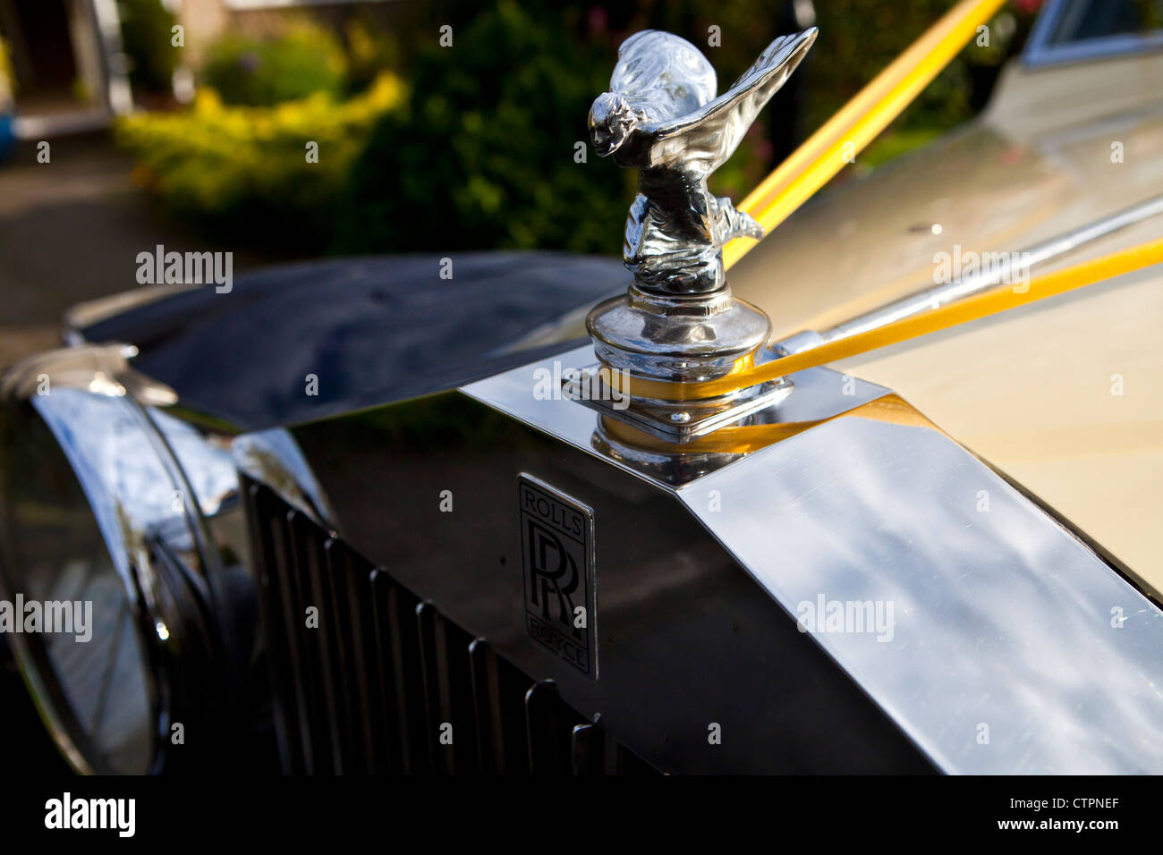1951-Rolls-Royce Silver Wraith Stockfoto
