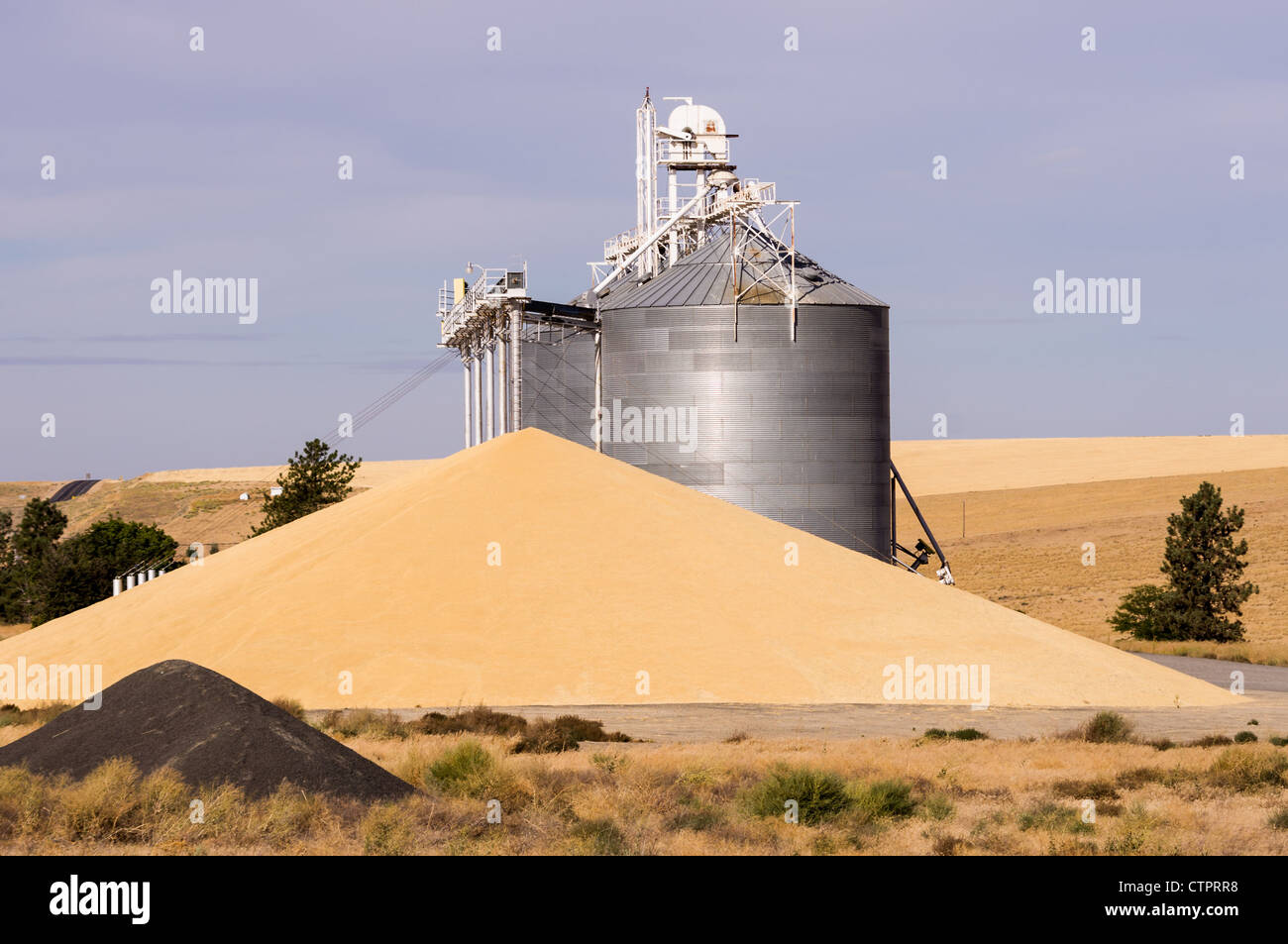 Grain Elevator mit Haufen von Getreide durch kein Speicherplatz verschwendet Stockfoto