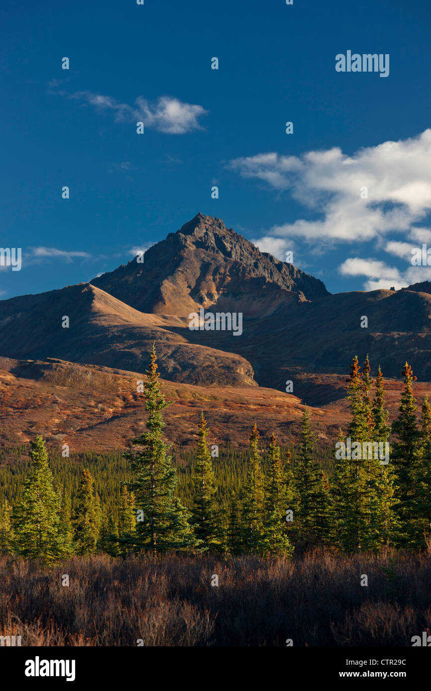 Malerische Berglandschaft, gesehen aus dem Denali Highway, Yunan Alaska, Herbst Stockfoto