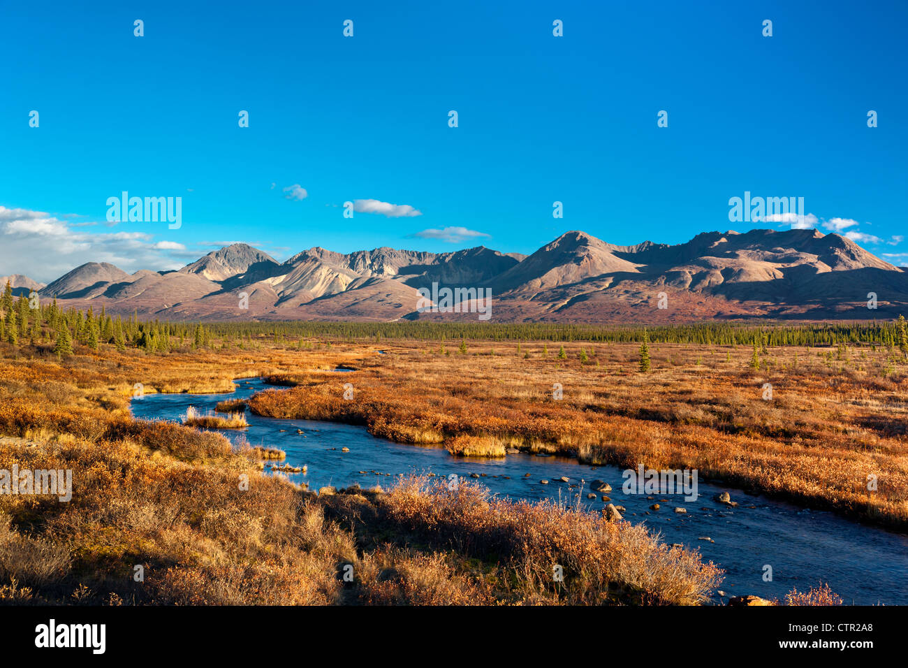 Malerische Berglandschaft mit einem Bach im Vordergrund gesehen aus dem Denali Highway, Yunan Alaska, Herbst Stockfoto