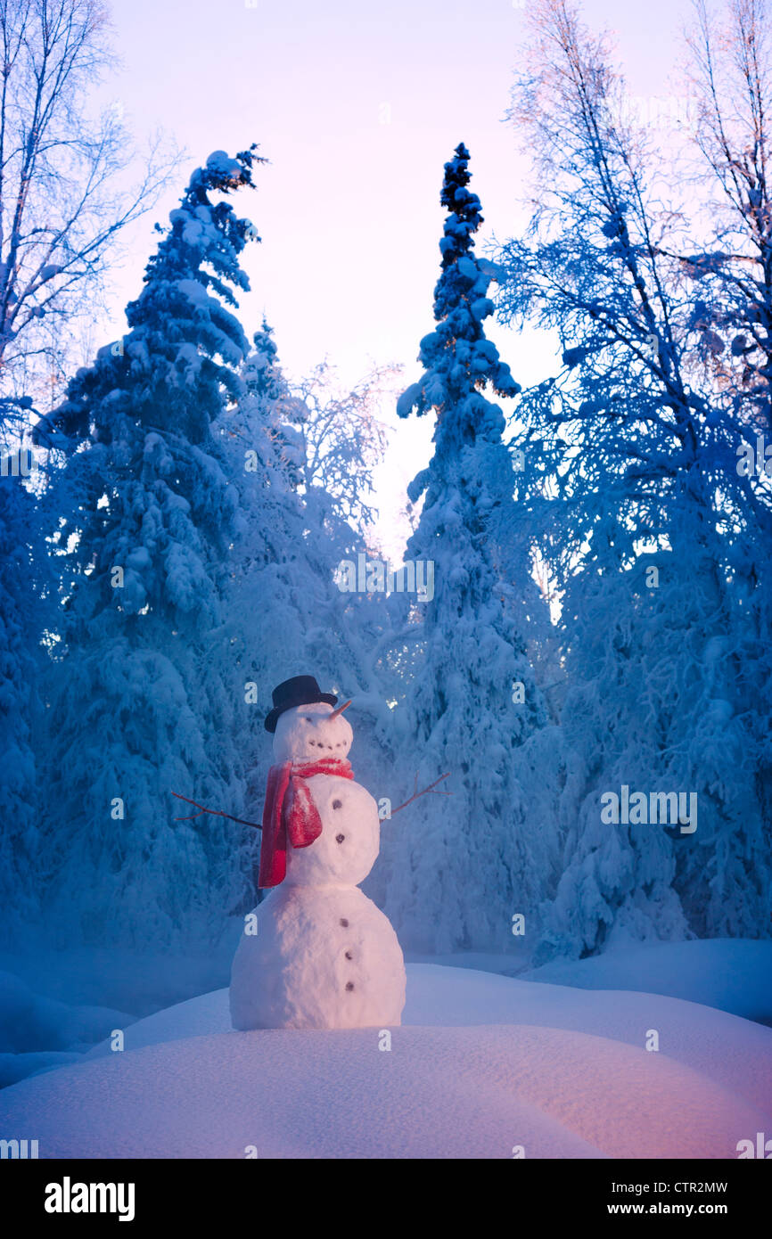 Schneemann stehend unter Hoar Milchglas Bäume russische Jack Federn Park Anchorage Yunan Alaska Winter Digital erweitert. Stockfoto
