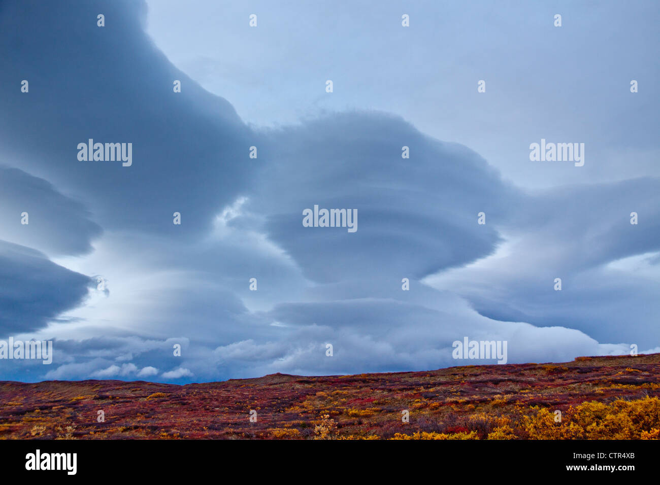 Dramatische linsenförmige Wolkenbildung über Maclaren Flusstal, Yunan Alaska, Herbst Stockfoto