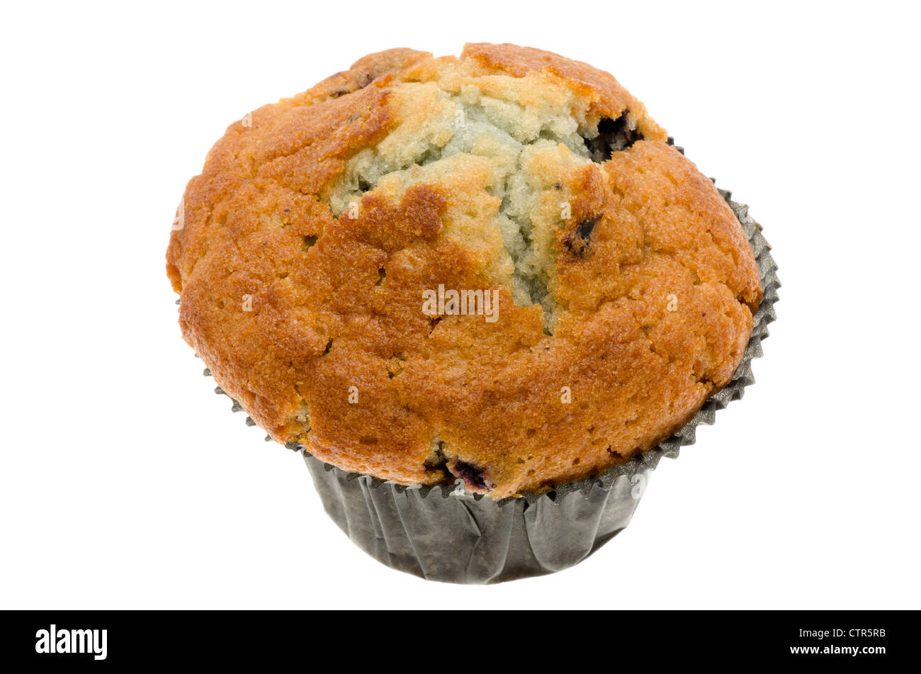 Frische Blueberry Muffin - Studio gedreht mit weißem Hintergrund Stockfoto