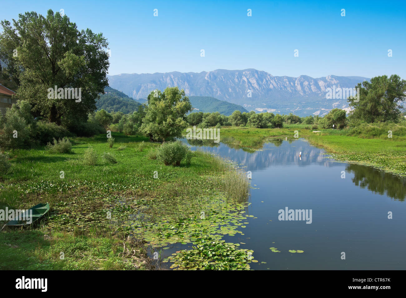 Rückstau der Skutarisee, Montenegro Stockfoto