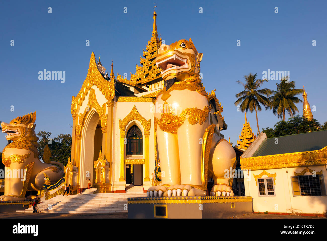 Shwedagon Pagode in Yangon, Myanmar Stockfoto