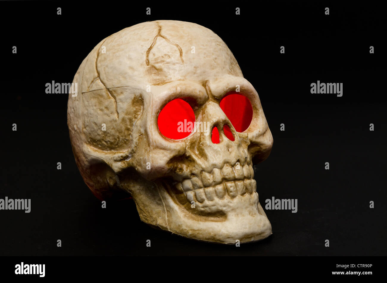 Unheimlich menschliche Schädel für Halloween - Studio gedreht mit einem schwarzen Hintergrund Stockfoto