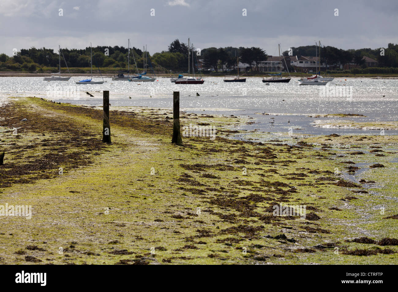 Liegeplatz-Beiträge von Ebbe im Hafen von Langston ausgesetzt Stockfoto