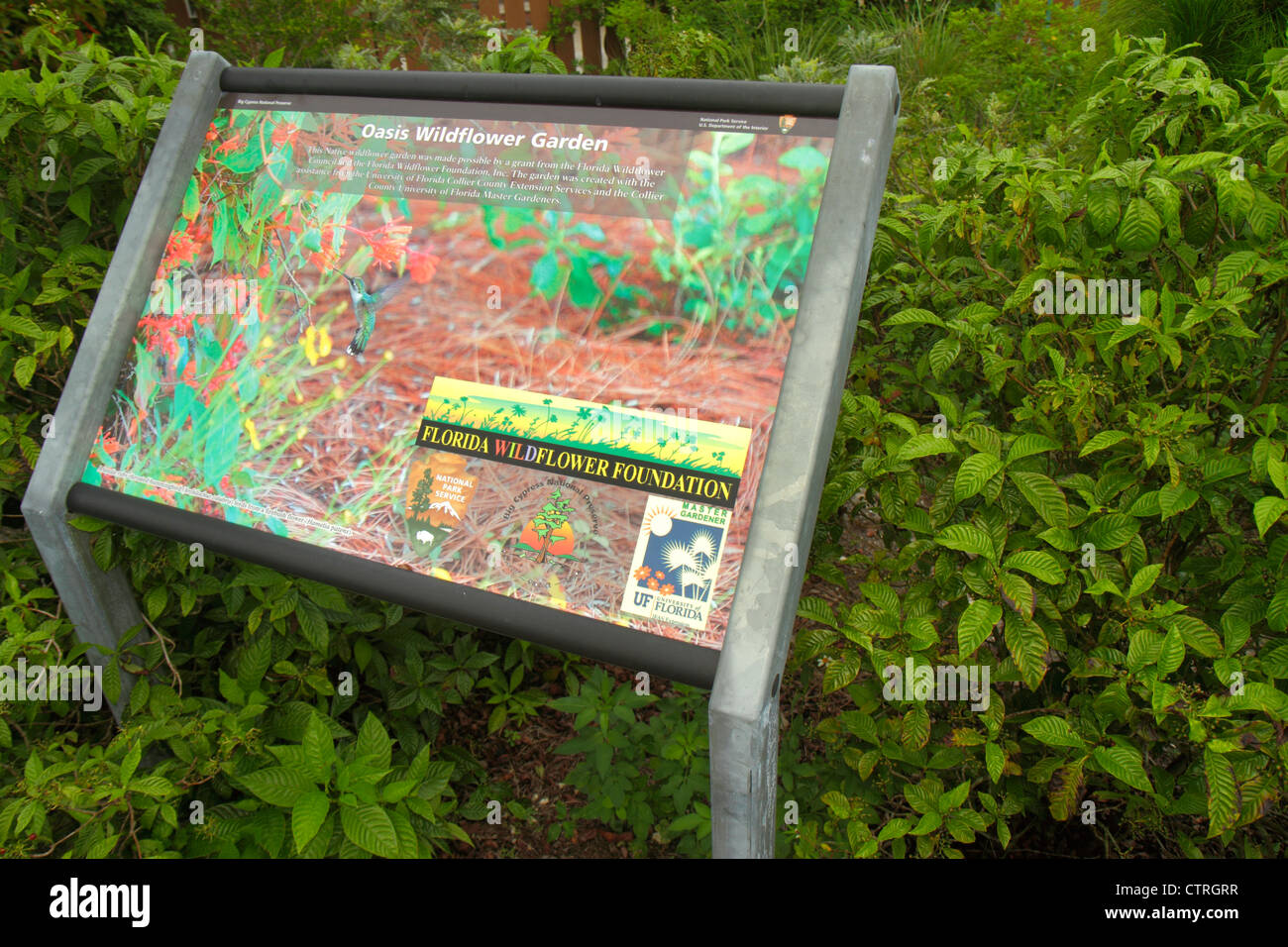 Florida die Everglades, Big Cypress National Preserve, Tamiami Trail, Oasis Visitors Center, Schild, Logo, Informationen, Bildung, Natur, Wildflower Foundationo Stockfoto