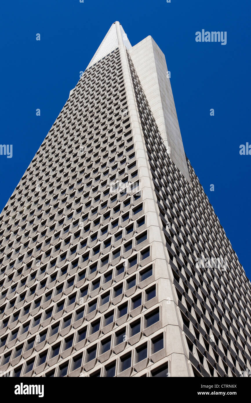 Die Transamerica Pyramid in San Francisco Stockfoto