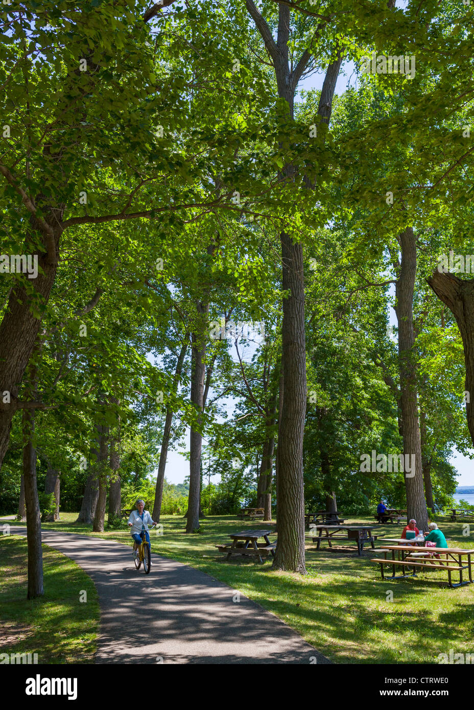 Pfad durch den Wald und Picknickplatz in Presque Isle State Park, Lake Erie, Pennsylvania, USA Stockfoto