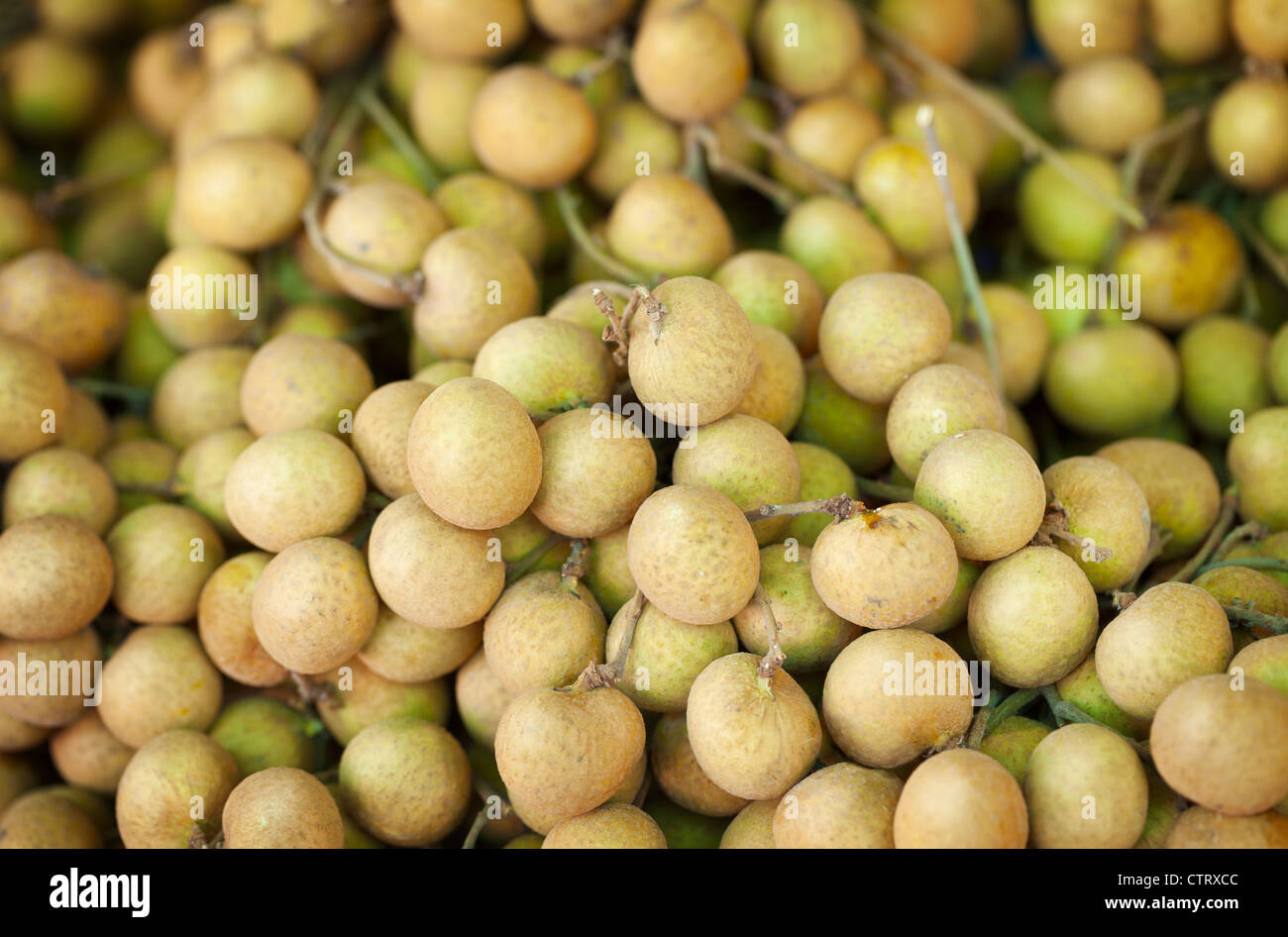 Longan Früchte close-up auf dem Tresen des asiatischen Marktes - Thailand Stockfoto