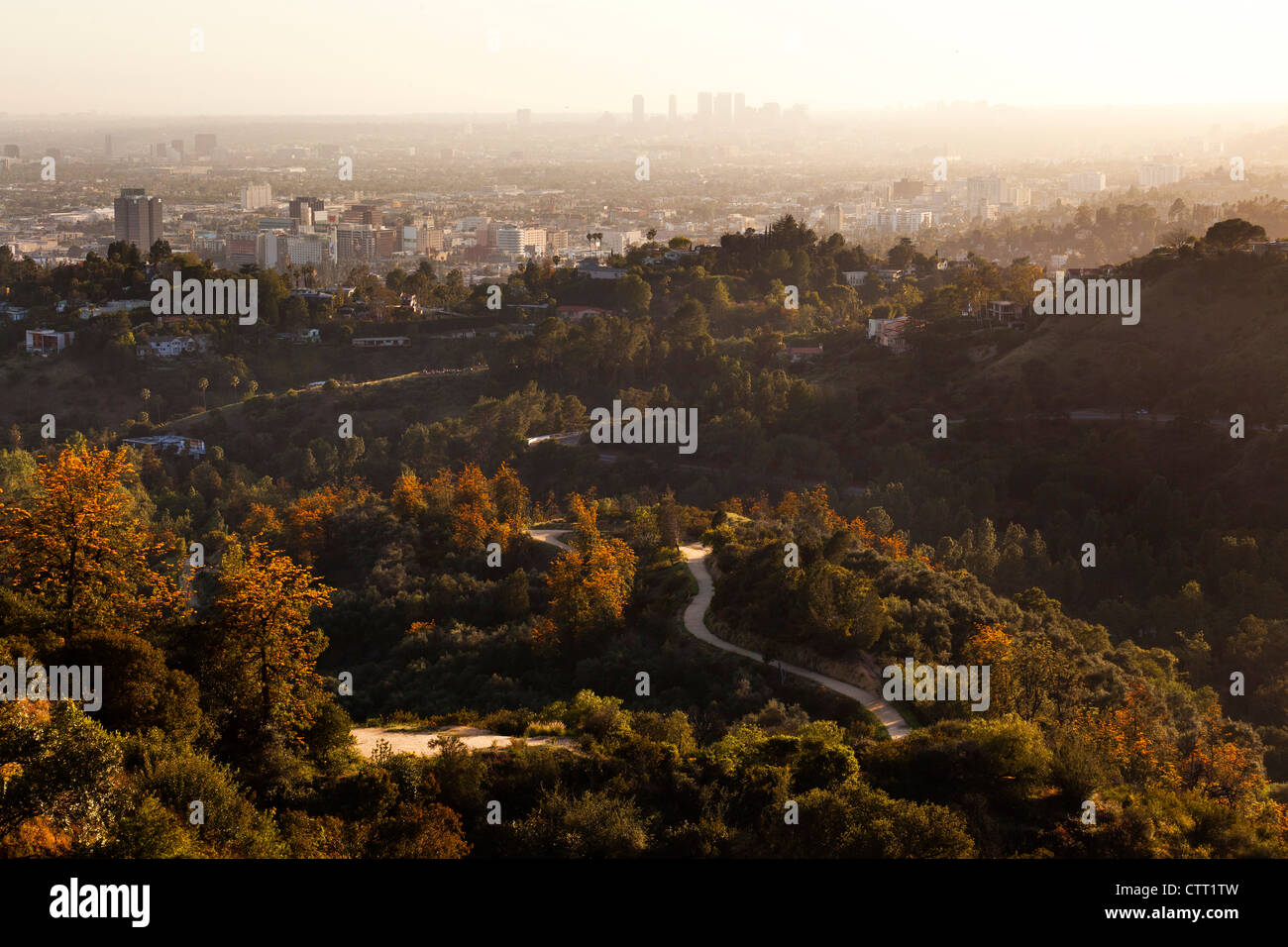 Blick auf LA vom Griffith Park Stockfoto