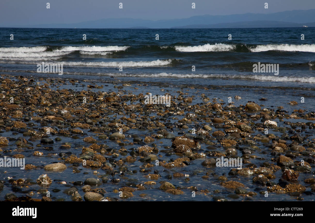 Rathtrevor Park Beach, Vancouver Island, BC mit der Flut, und dem Pazifischen Ozean stürzt in den Felsen am Strand. Stockfoto