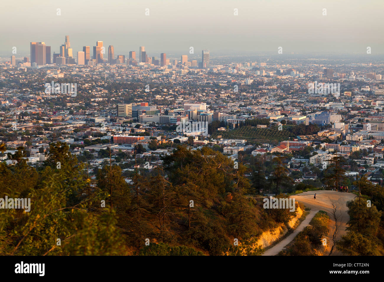 Blick auf LA vom Griffith Park Stockfoto