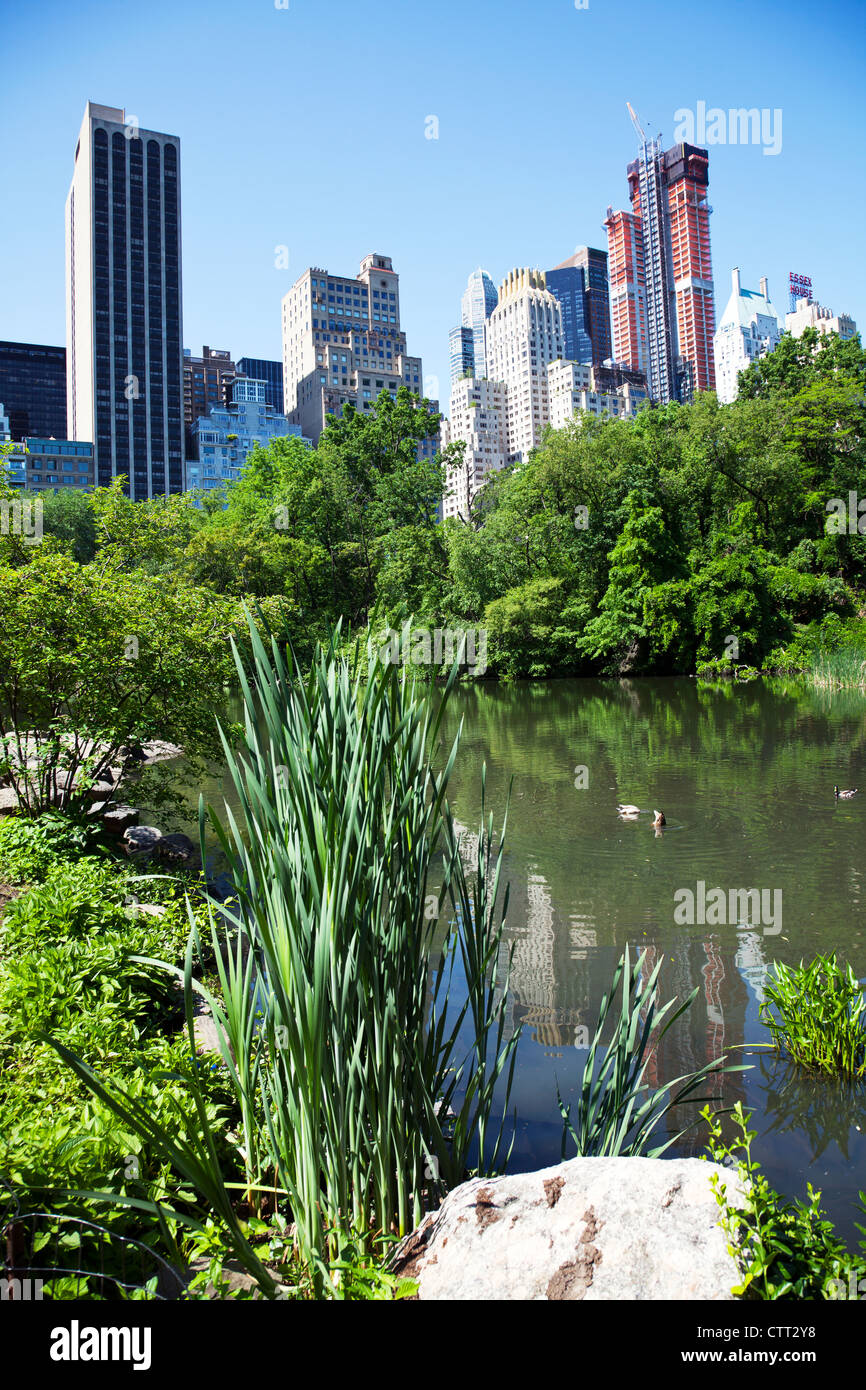 Central Park in Manhattan, New York City, New York, touristisches Ziel von Wolkenkratzern moderne Städte Gebäude übersehen Stockfoto