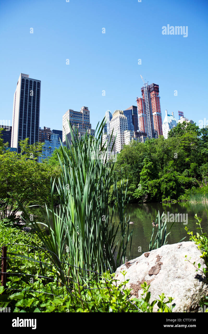 Central Park in Manhattan, New York City, New York, touristisches Ziel von Wolkenkratzern übersehen Stockfoto