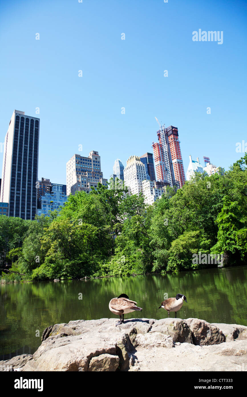 Central Park in Manhattan, New York City, New York, touristisches Ziel von Wolkenkratzern moderne Städte Gebäude übersehen Stockfoto