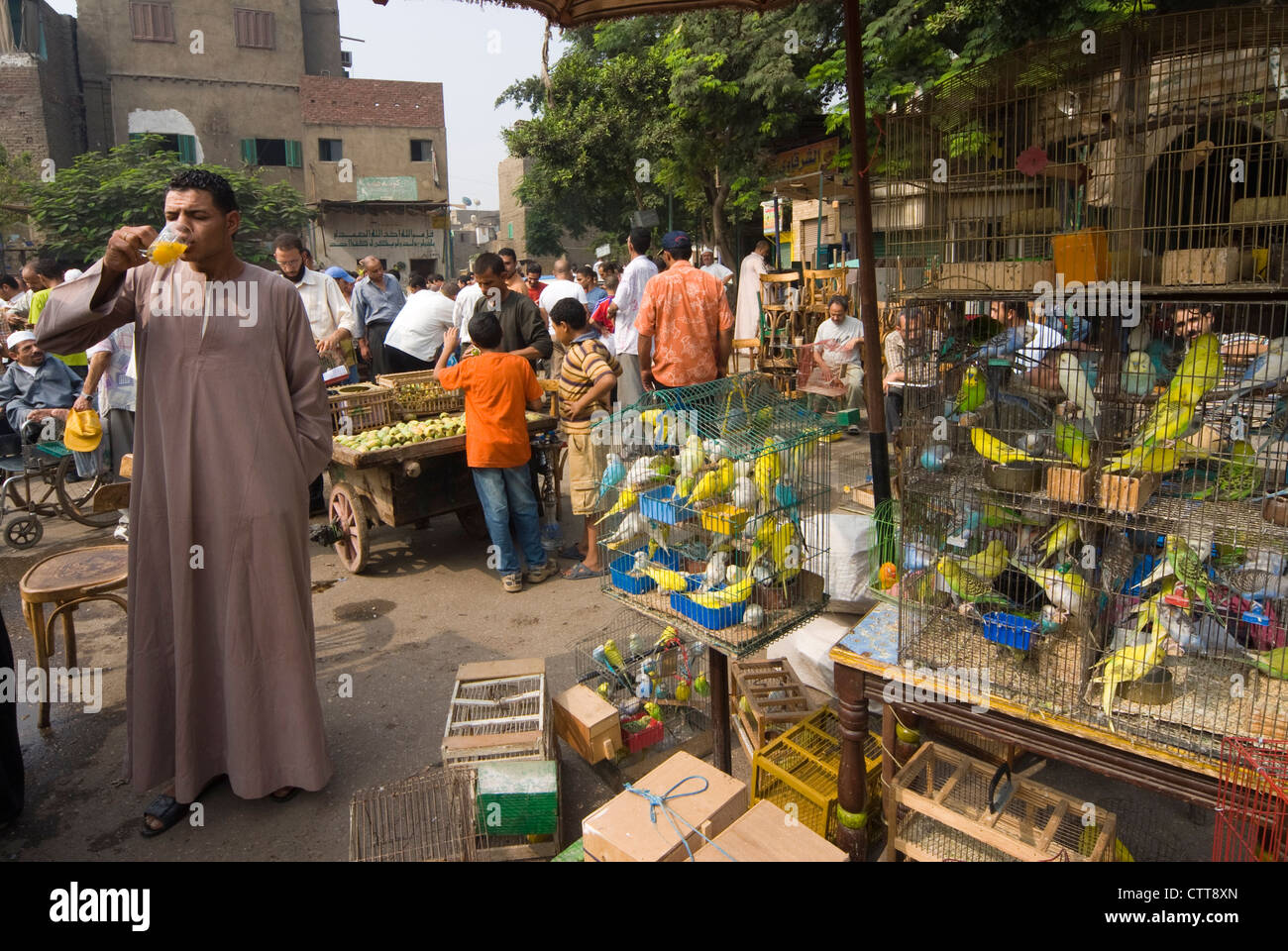 El Saida Ashah Markt, Vögel Markt, City of the Dead oder Cairo Nekropole, Kairo, Ägypten, Nordafrika, Afrika Stockfoto