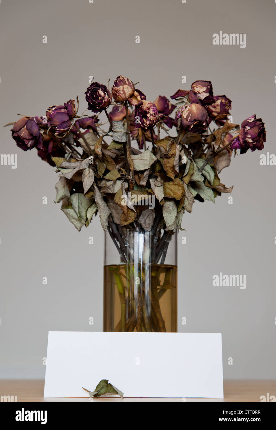 Vase TOTER ROSEN mit leerer Karte zum Kopieren/Text. Totblumen Konzept Standbild Stockfoto