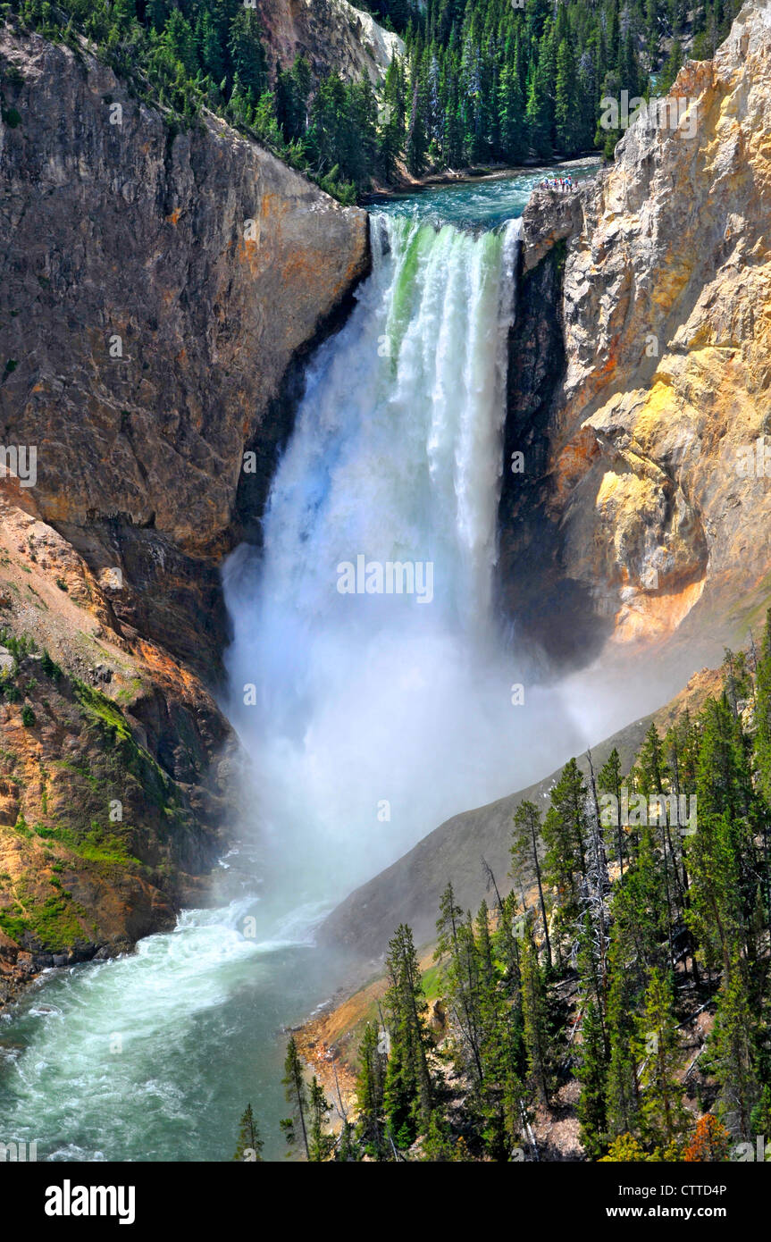 Lower Falls Yellowstone River National Park Wyoming WY USA Stockfoto