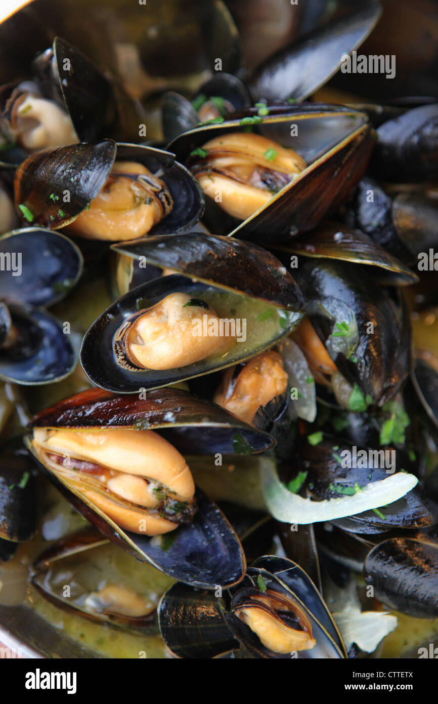 Einen Topf mit Muscheln Stockfoto