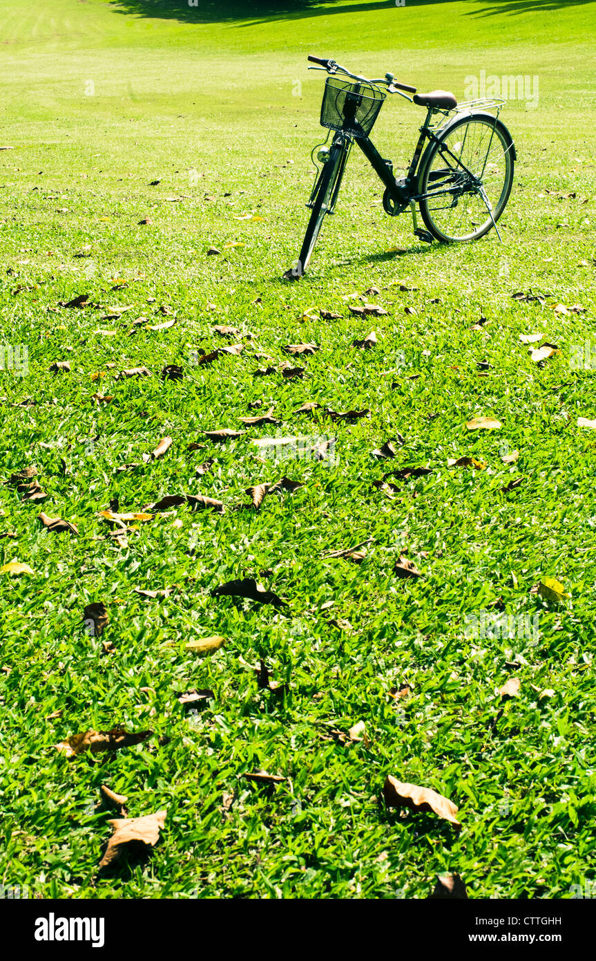 ein Fahrrad ist auf grüner Wiese geparkt. Stockfoto