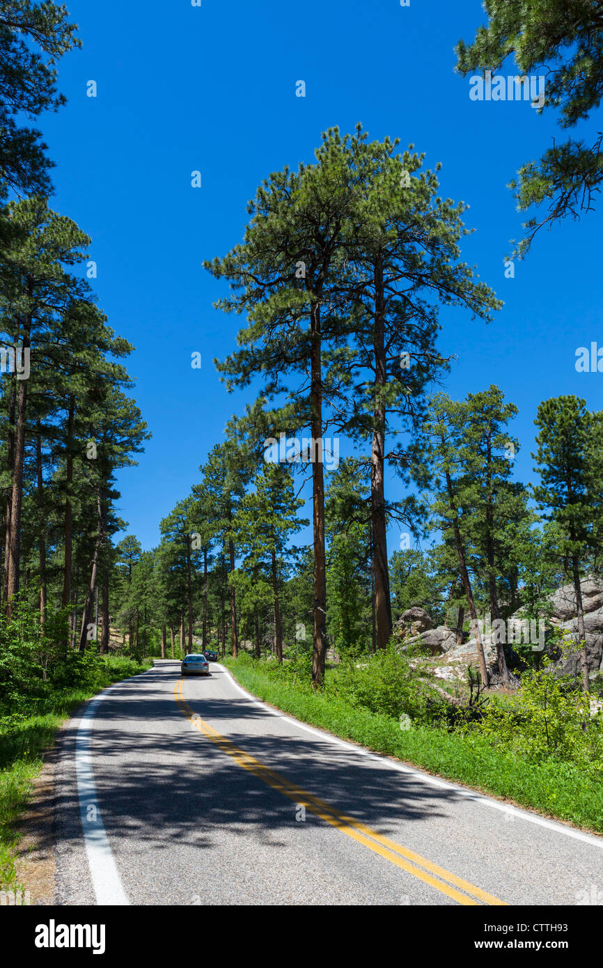 Iron Mountain Road in den Black Hills National Forest in der Nähe von Keystone, South Dakota, USA Stockfoto