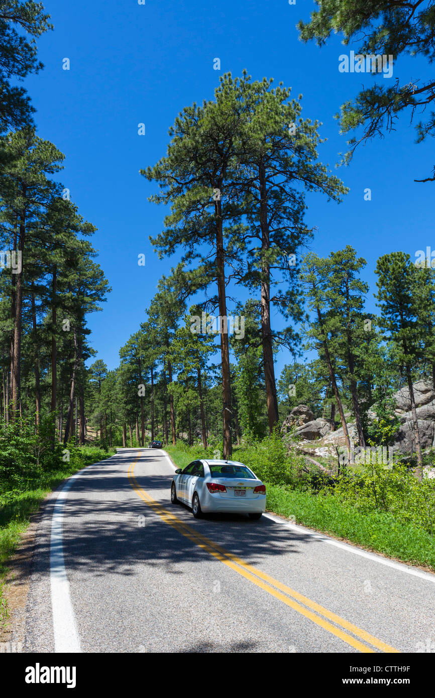 Iron Mountain Road in den Black Hills National Forest in der Nähe von Keystone, South Dakota, USA Stockfoto