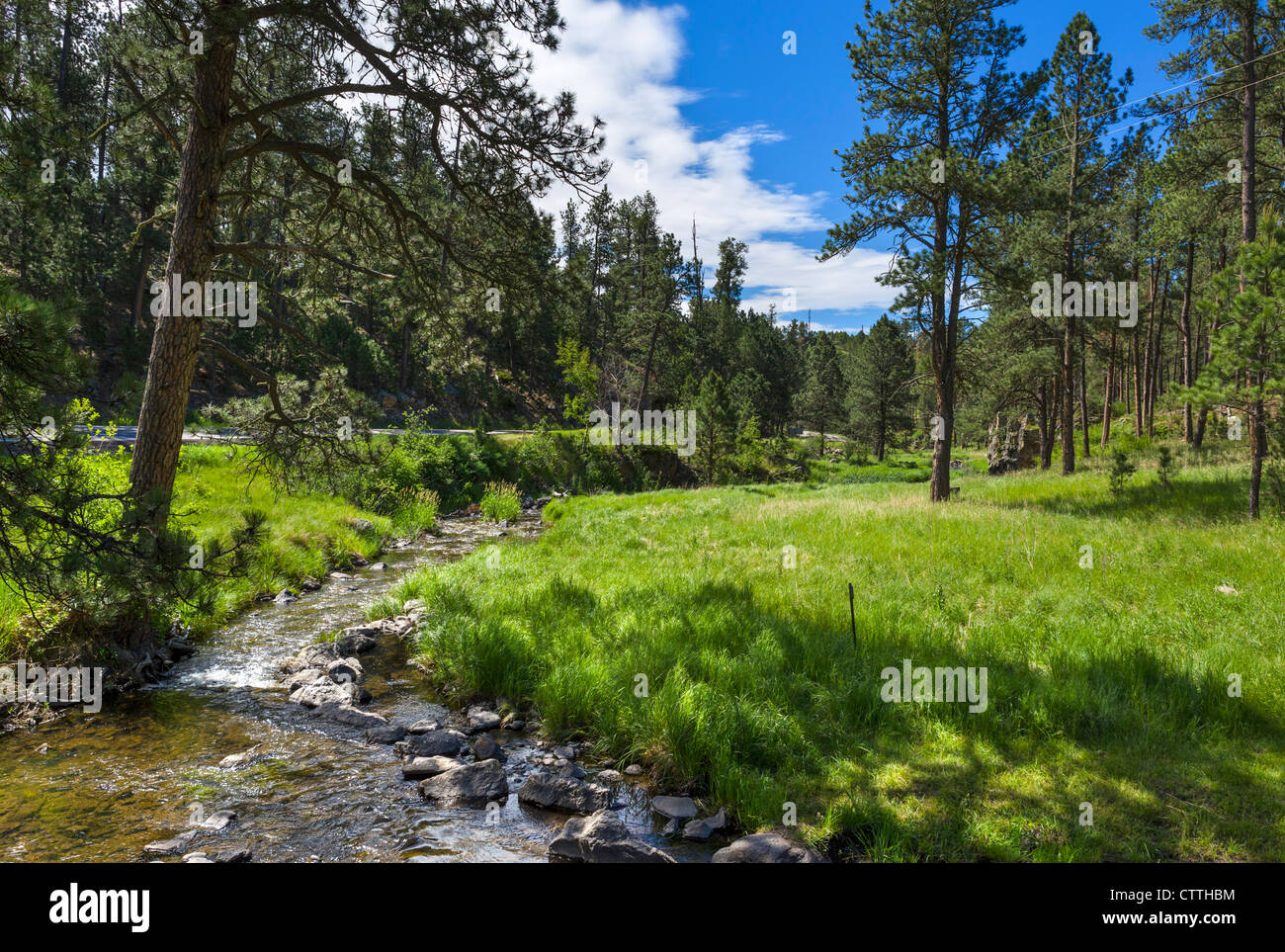 Stream bei Blue Bell-Picknick-Bereich neben der Route 87 im Custer State Park, Black Hills, South Dakota, USA Stockfoto