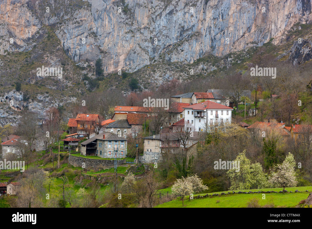 Cordiñanes, Picos de Europa National Park, Castilla y Leon, Spanien Stockfoto