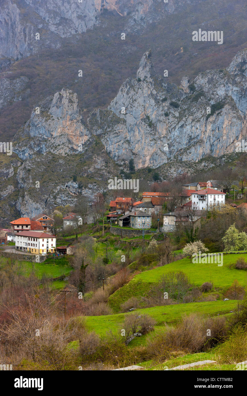 Cordiñanes, Picos de Europa National Park, Castilla y Leon, Spanien Stockfoto