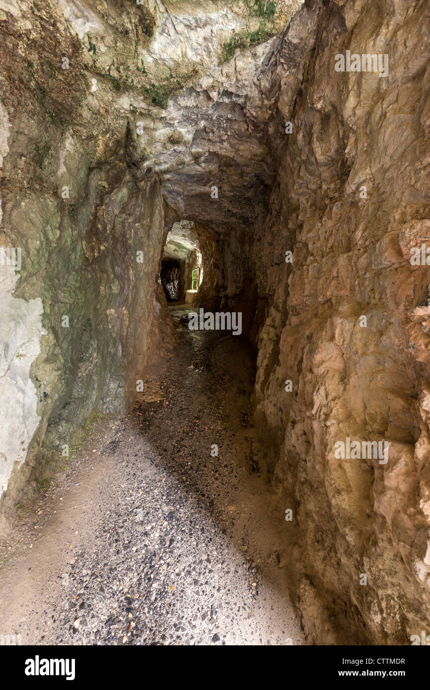 Kümmert sich Schlucht (Garganta del Cares) Fußweg, der Nationalpark Picos de Europa, Castilla y Leon, Spanien, Europa Stockfoto