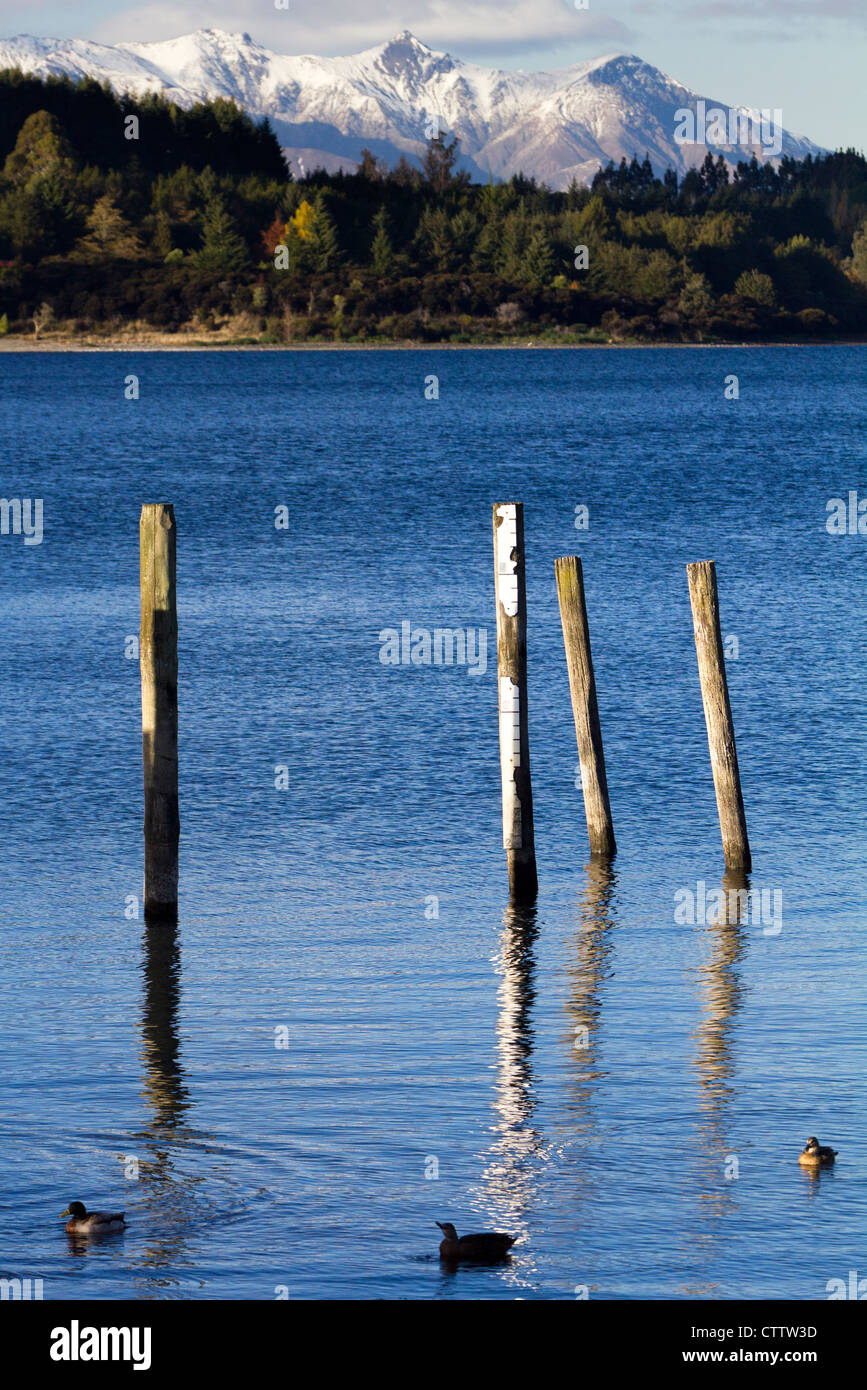 Drei Vögel, vier Pfosten und drei Berge - Blick vom Lake Te Anau, Neuseeland Stockfoto