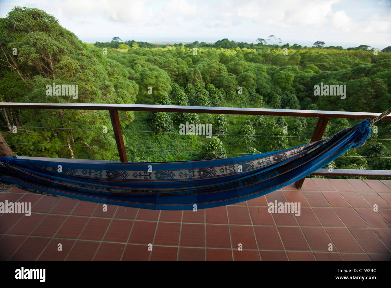 Hängematte auf dem Balkon mit Blick auf Kaffee Pflanzen, Semilla Verde Guest House, Santa Cruz Insel, Galapagos, Ecuador Stockfoto