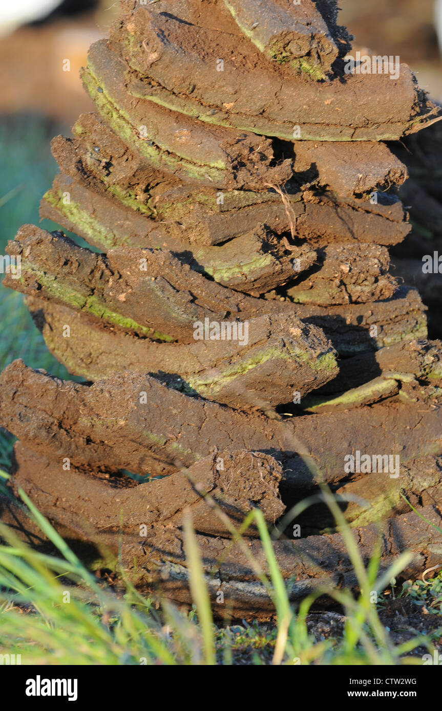 Grassoden Rasen Stapeln zum Trocknen auf, Emlagh Moor, Oristown, Kells, Grafschaft Meath, Irland Stockfoto