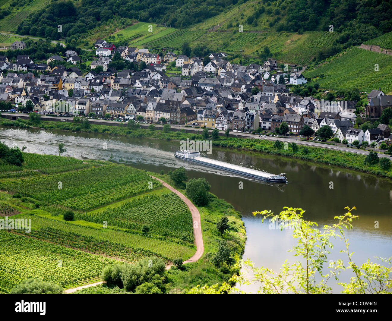 Blick auf Bremm mit Weinbergen im Moseltal, Rheinland-Pfalz, Deutschland Stockfoto