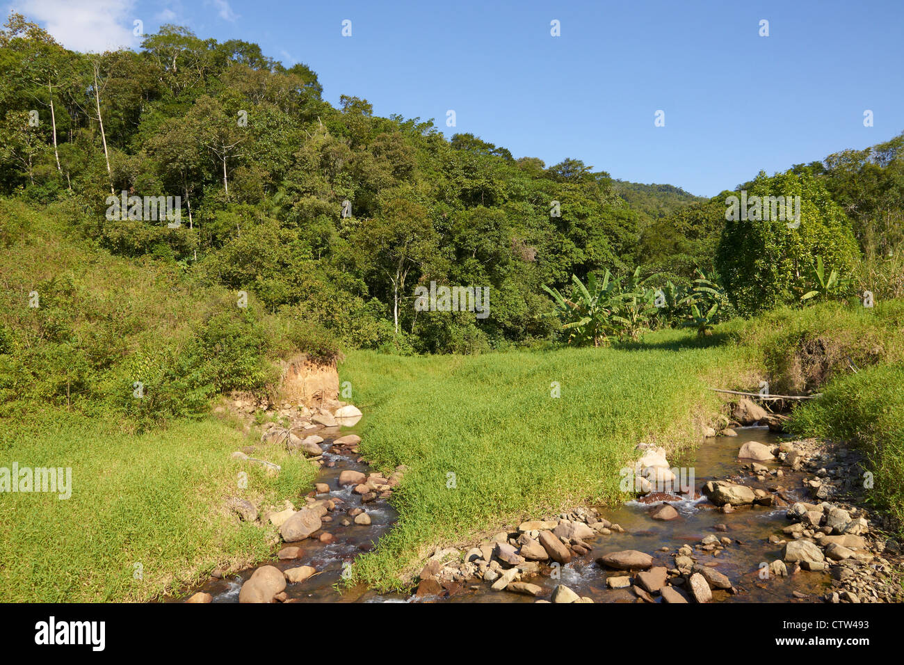 Kulturlandschaft im unteren Tal des Flusses Itajai Stockfoto