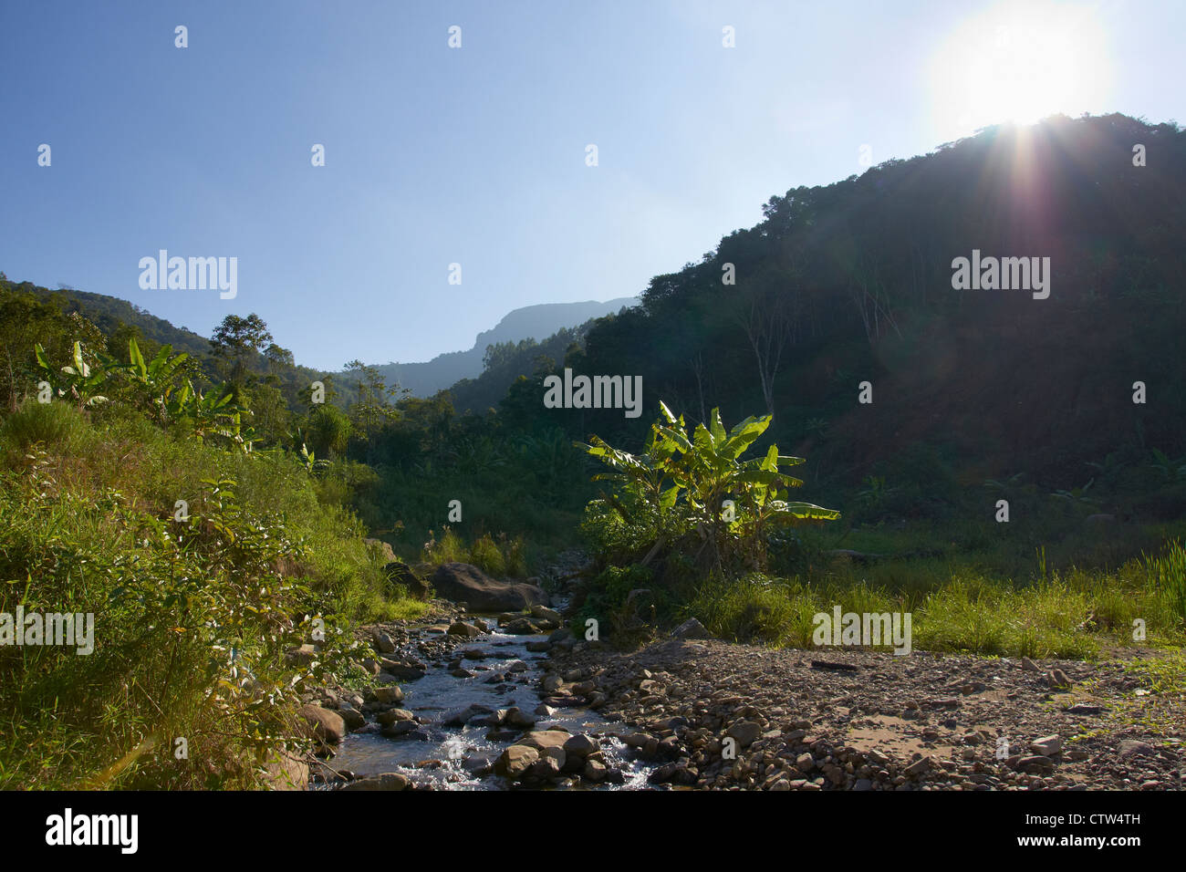 Kulturlandschaft im unteren Tal des Flusses Itajai Stockfoto