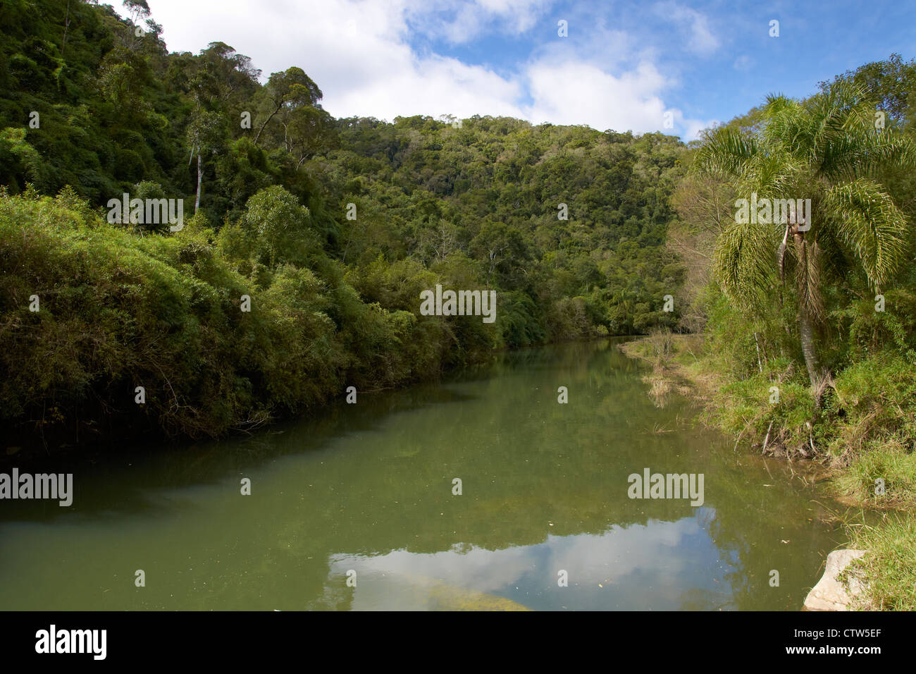 Fluss im Atlantischen Regenwald Stockfoto