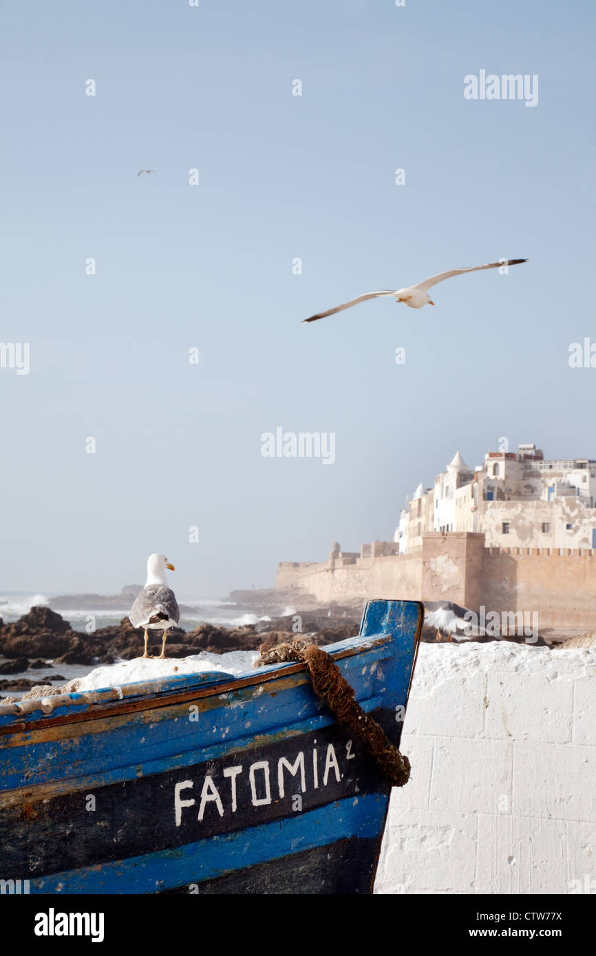 Möwen und traditionellen blauen Fischerboot, Essaouira Marokko Afrika Stockfoto