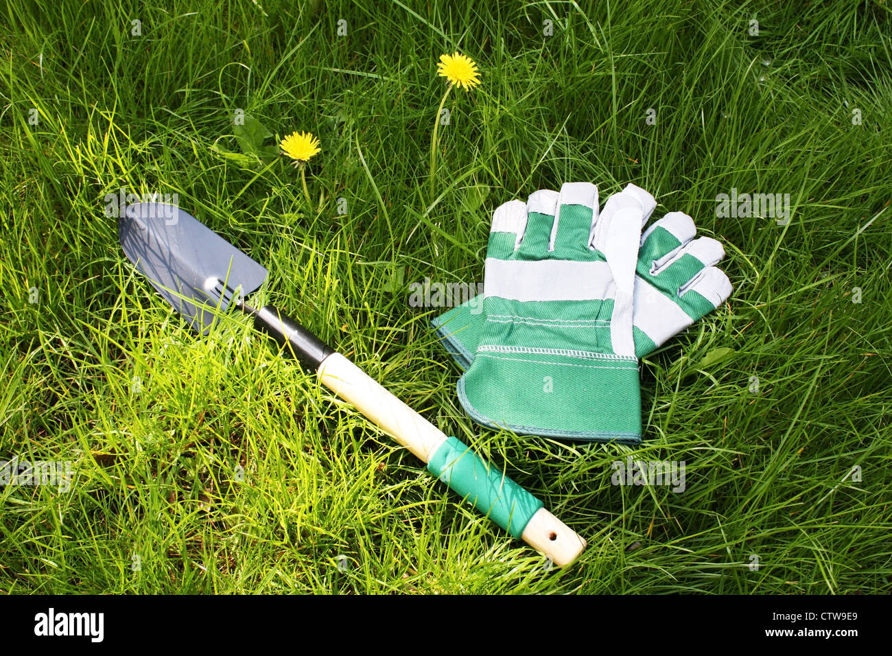 Gartengeräte auf dem grünen Rasen Stockfoto